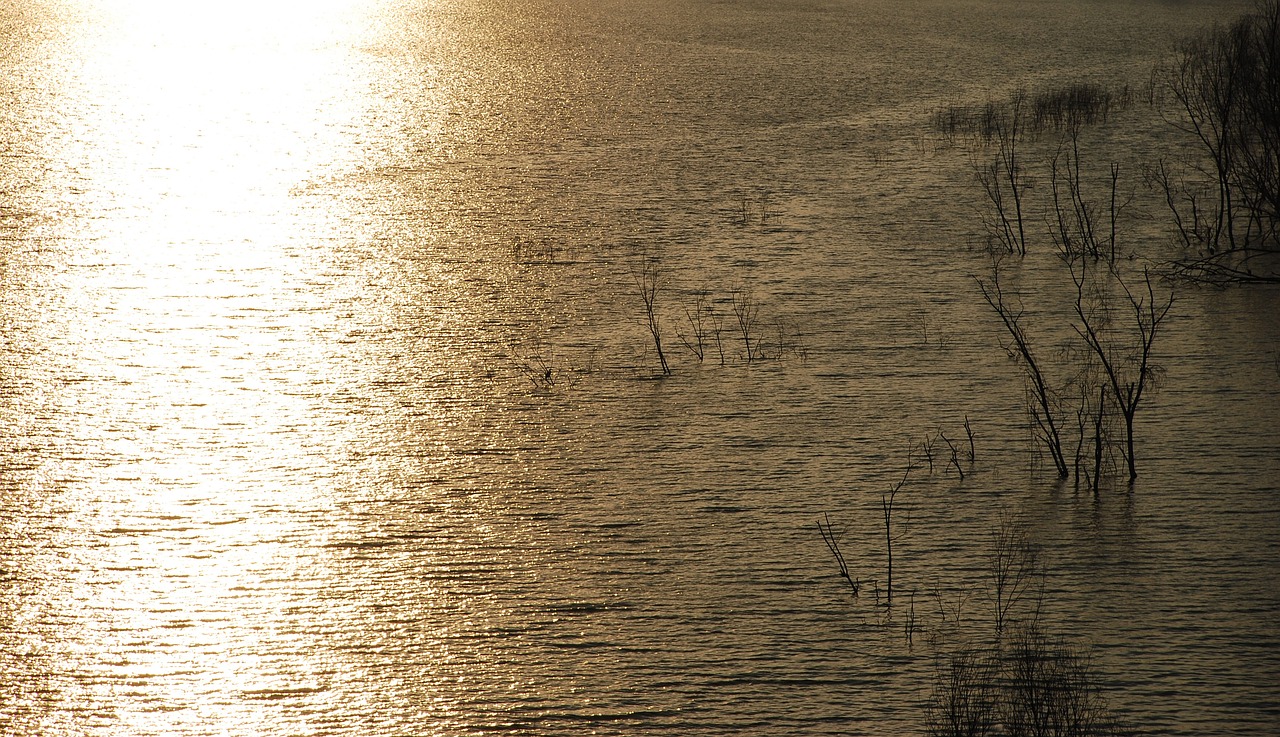 Image - sunny water paradise reflection