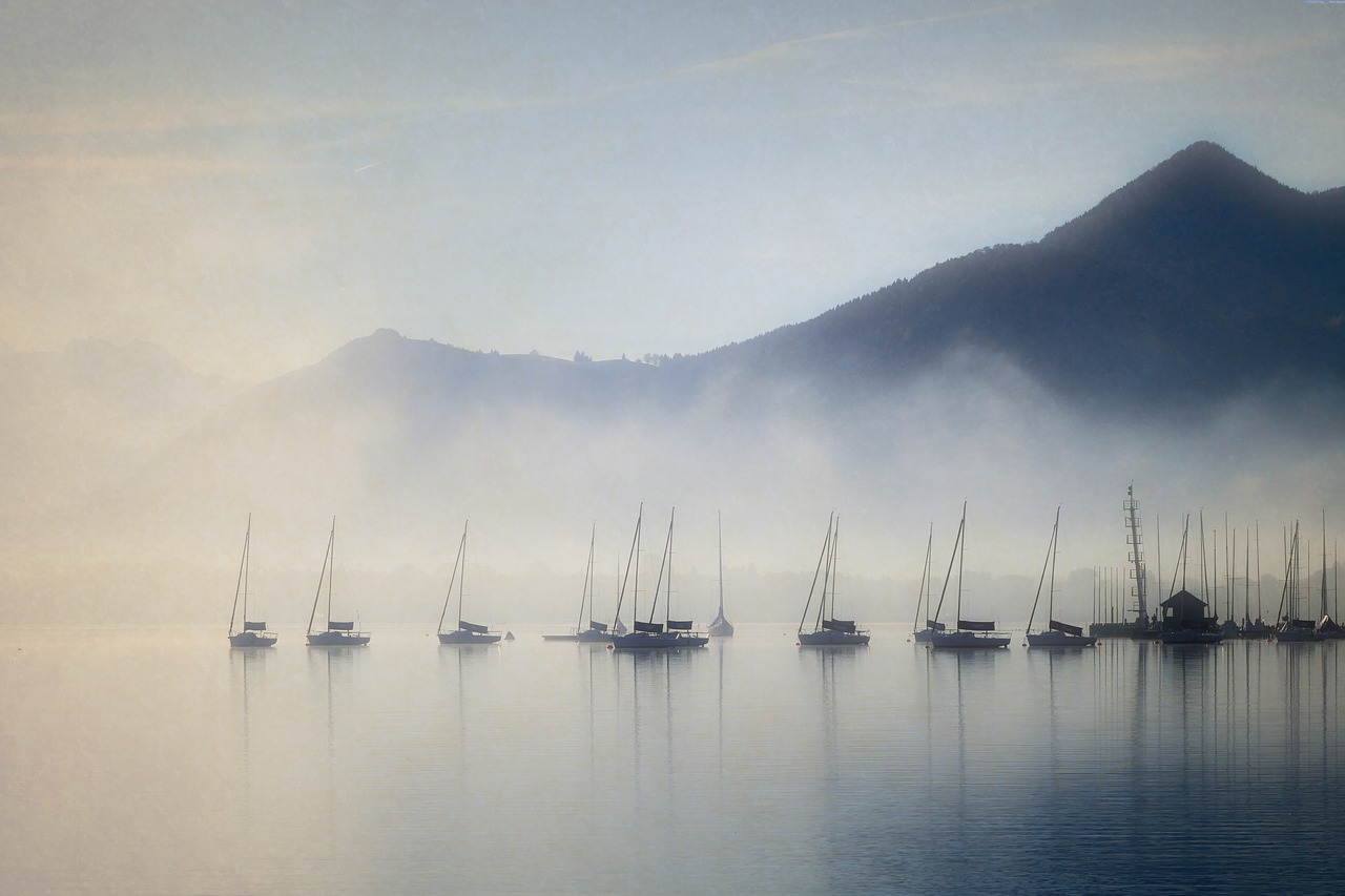Image - fog landscape nature sun