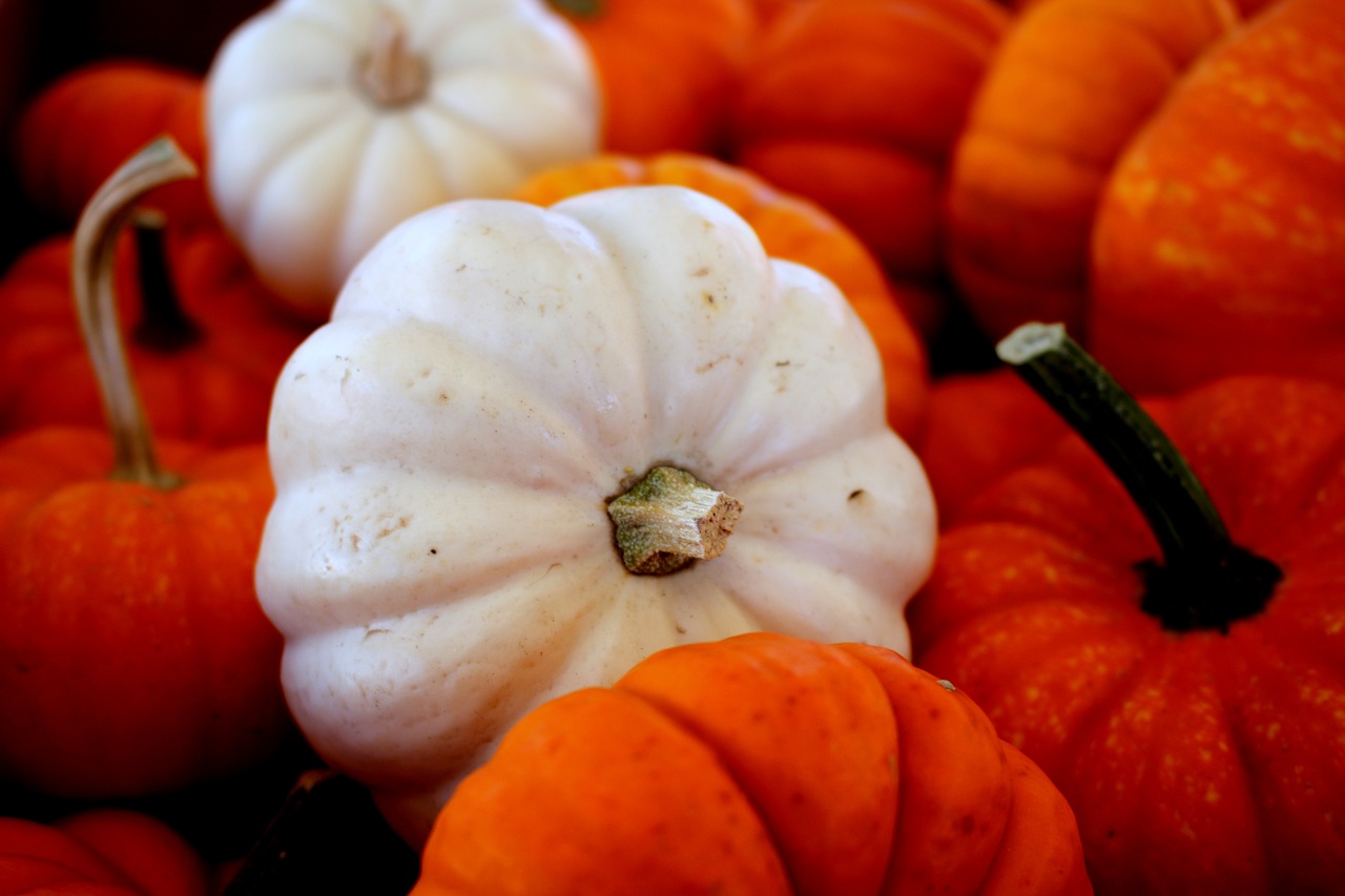 Image - pumpkin halloween autumn orange