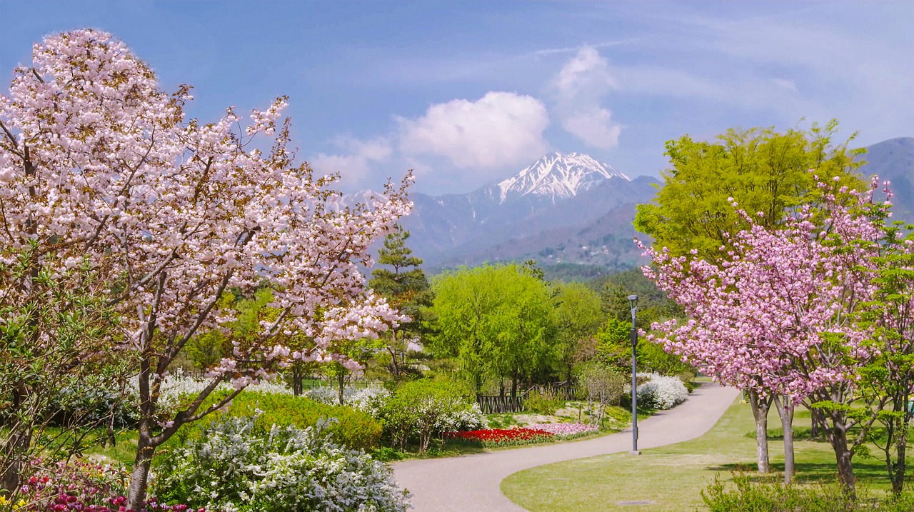 Image - alps azumino park in spring 04