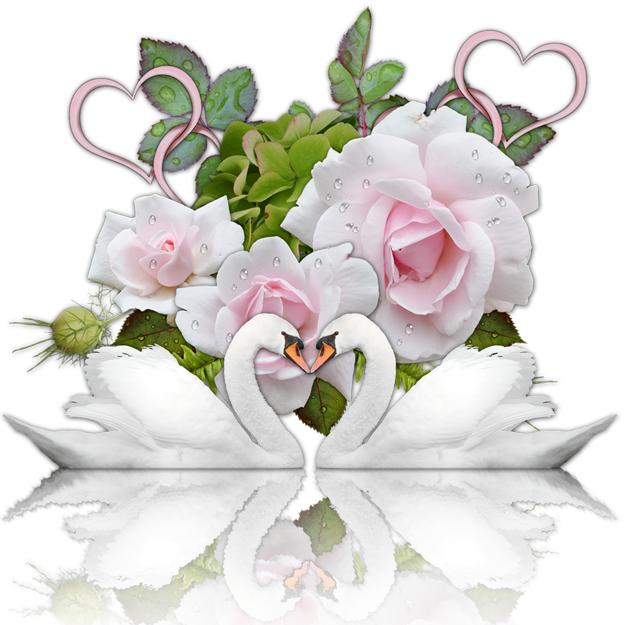 Image - wedding romance heart swans roses