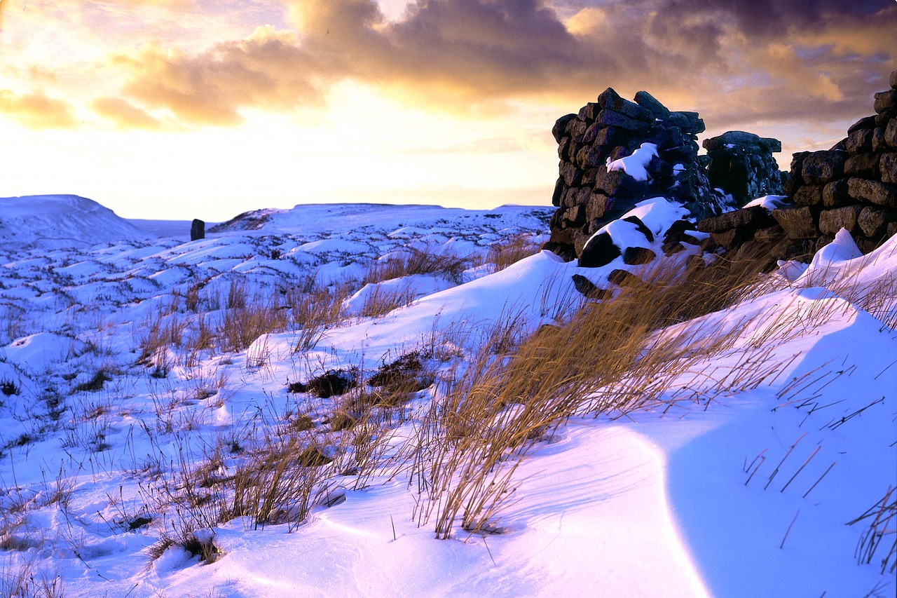 Image - snow moorland winter scenic