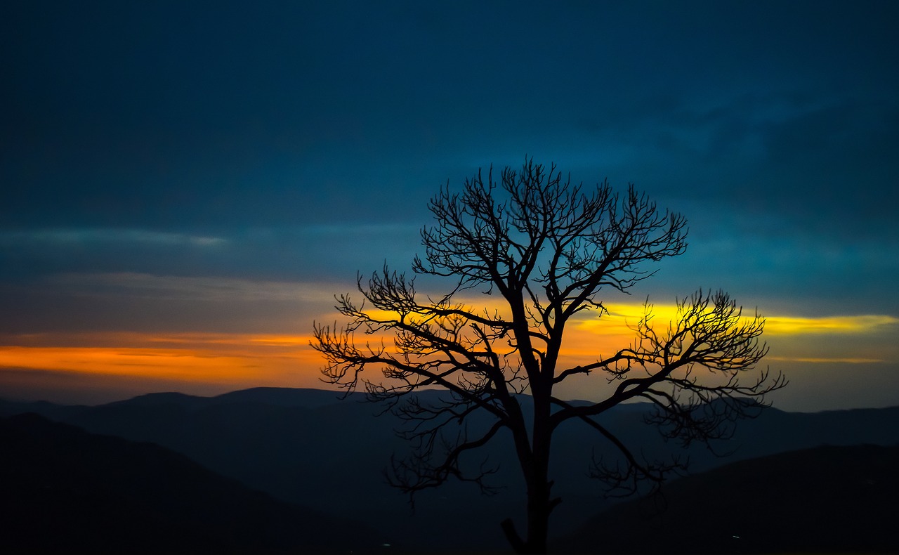 Image - tree mountain sky nature sunset