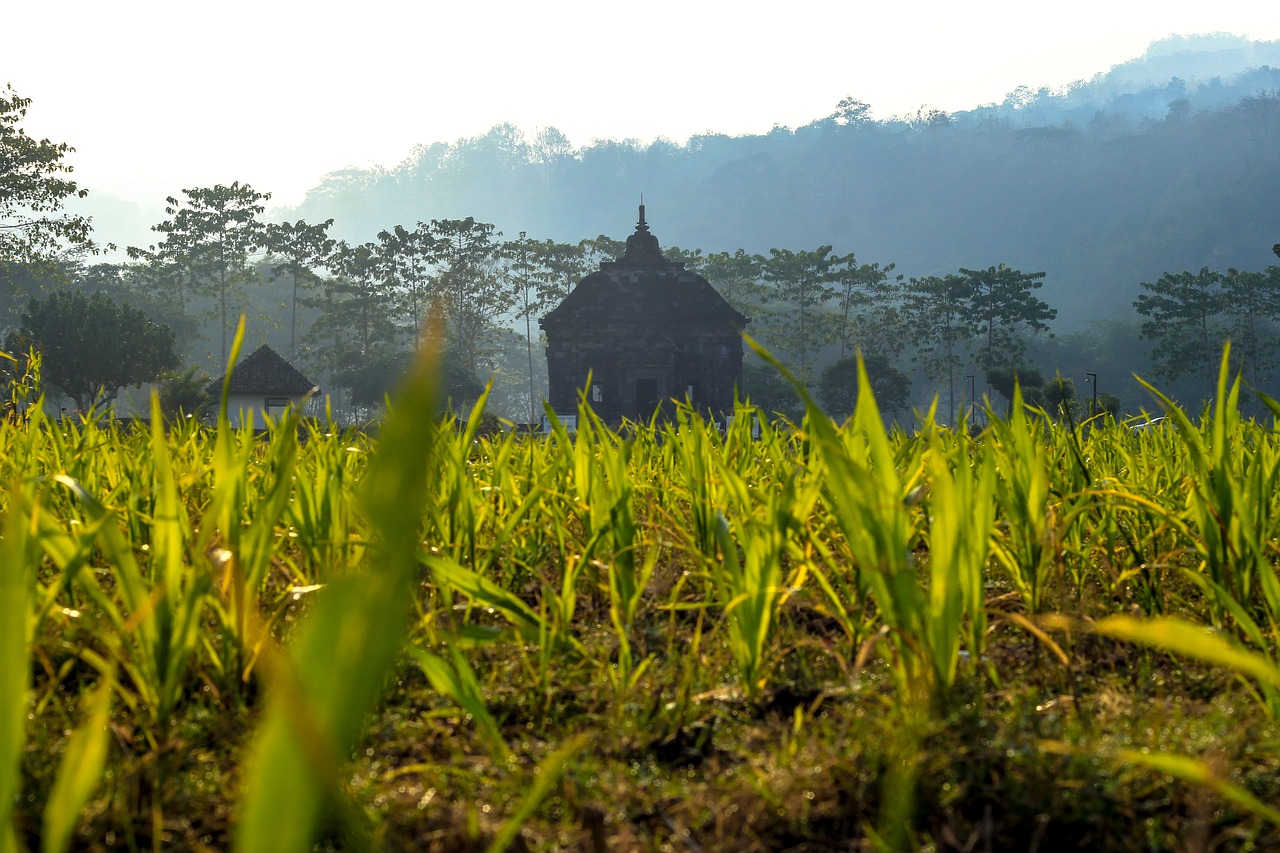 Image - temple landscape hinduism banyunibo