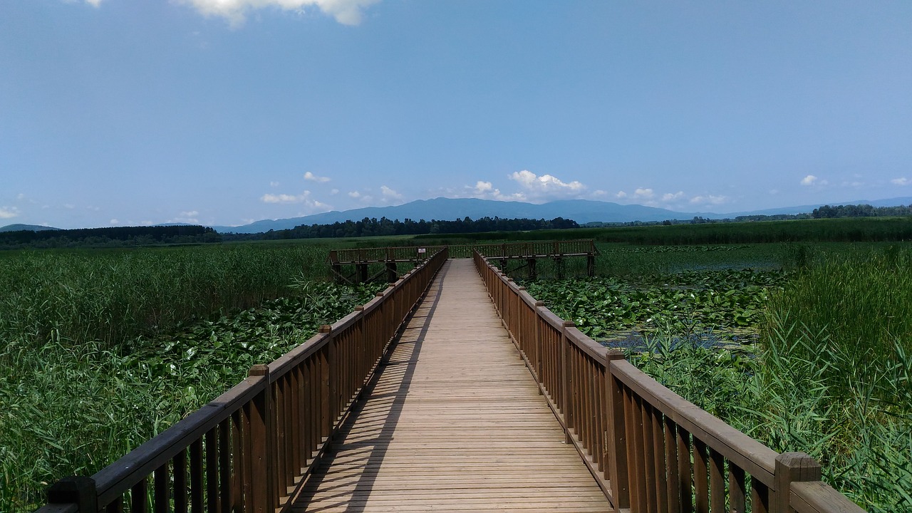 Image - efteni lake nature golyaka duzce