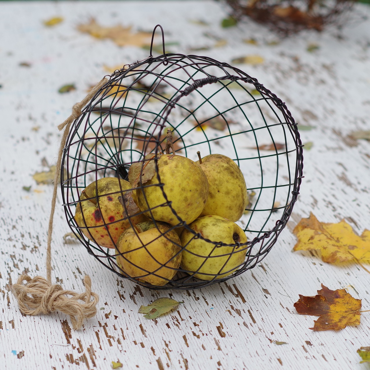 Image - apples fall basket wire basket