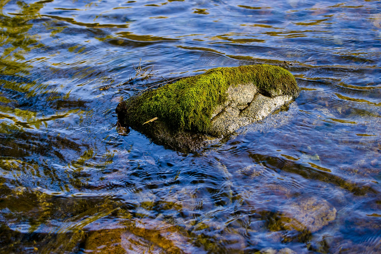 Image - altai mountain river water russia