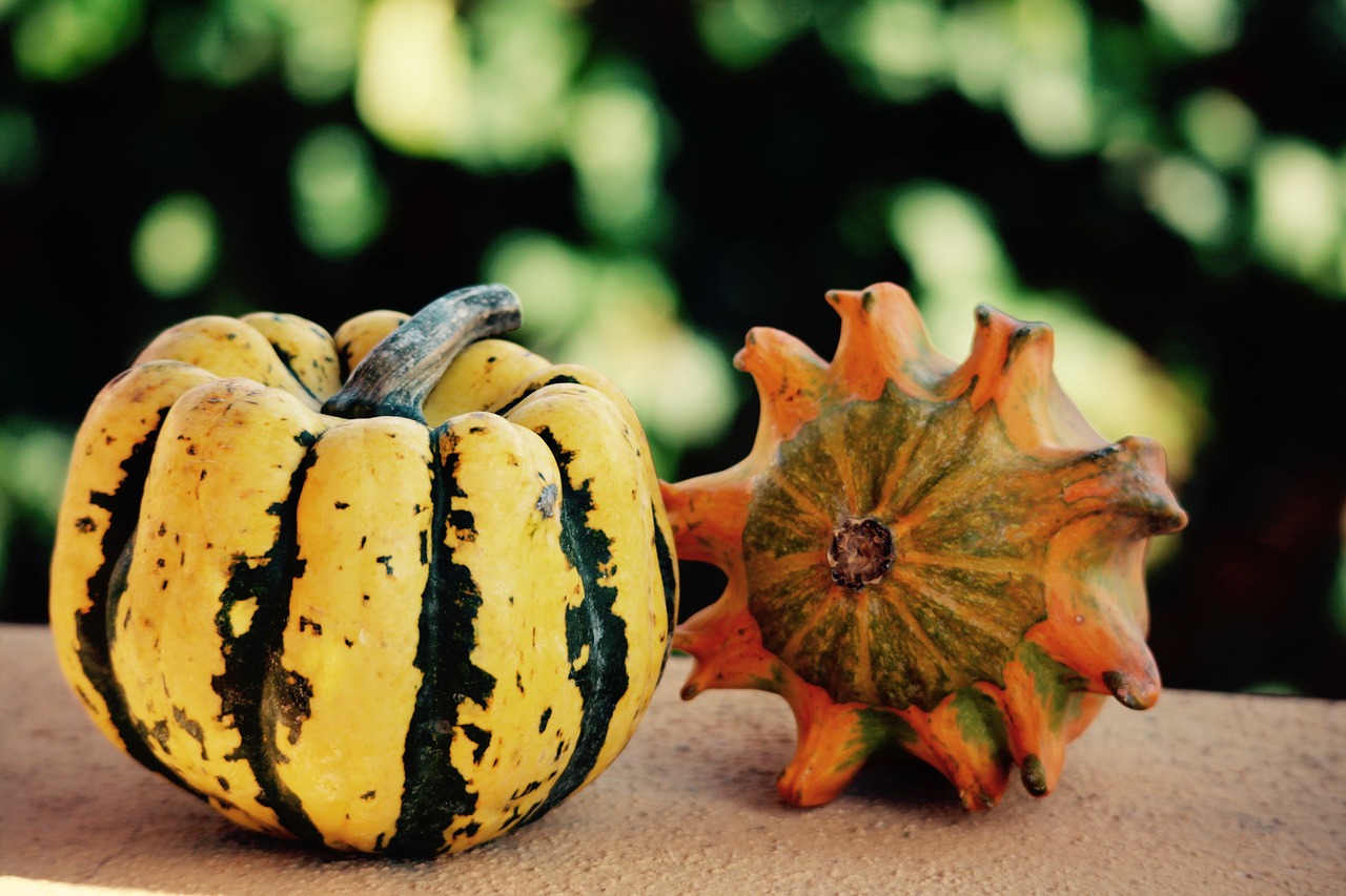 Image - halloween halloween party pumpkins