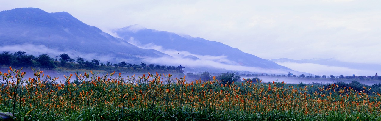 Image - the cone and flower landscape jiri