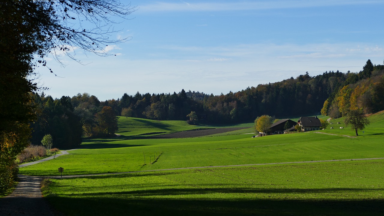 Image - landscape farm fields reported sun