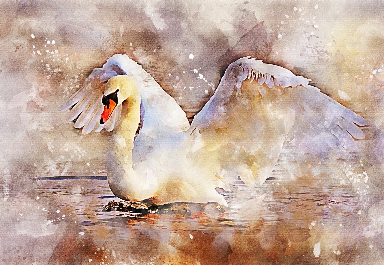 Image - swan wings bird grace fantasy