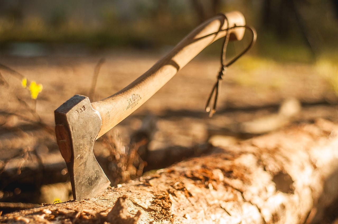 Image - forest tourism camping axe