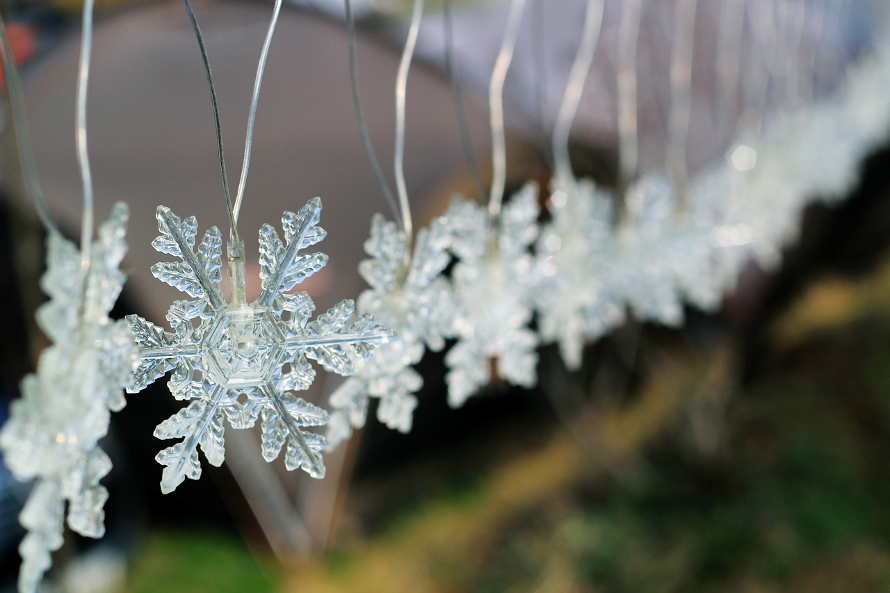 Image - winter snow flower lighting