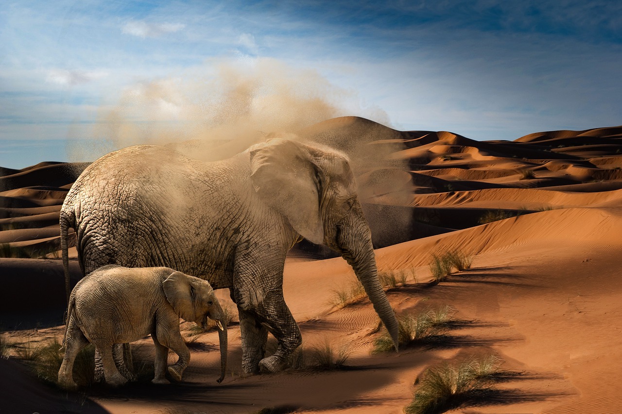 Image - elephant baby elephant desert