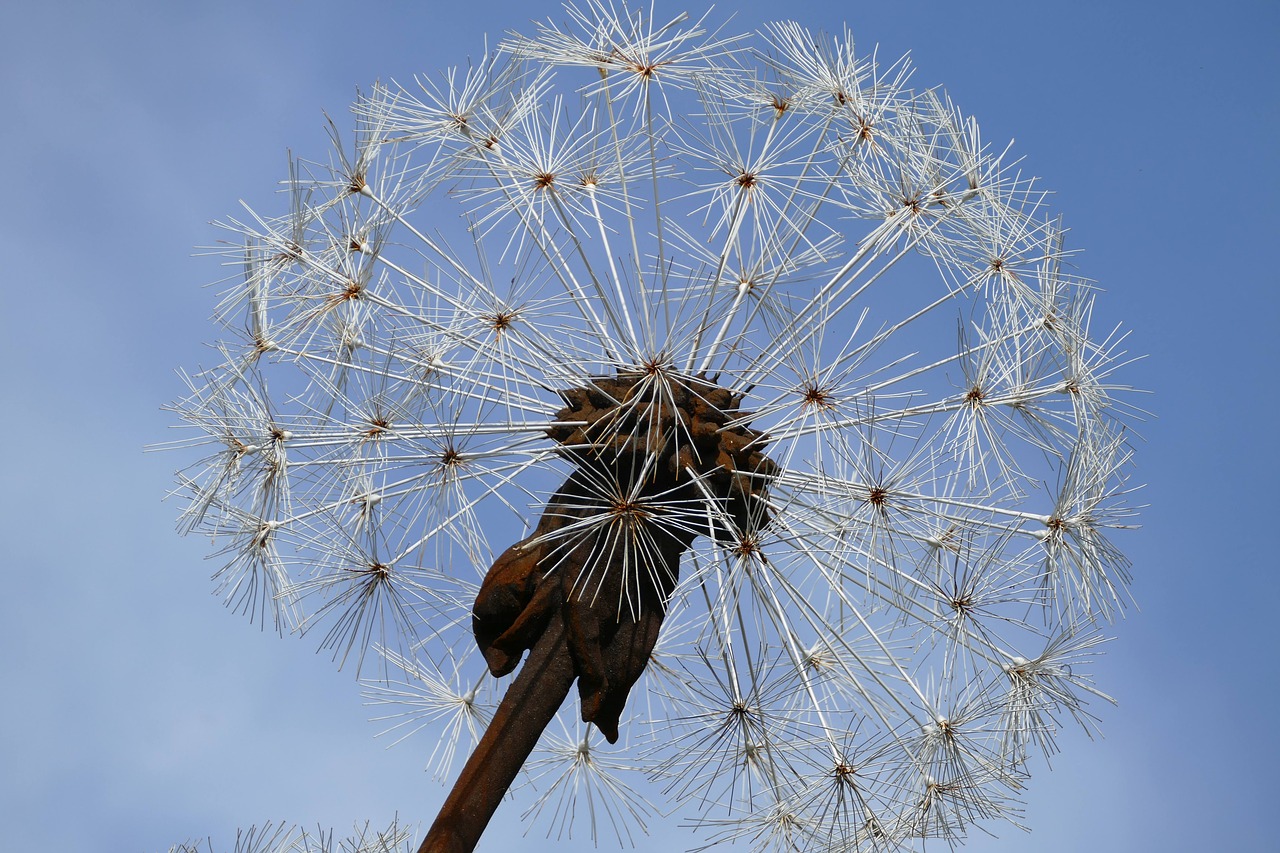 Image - art dandelion filigree welding