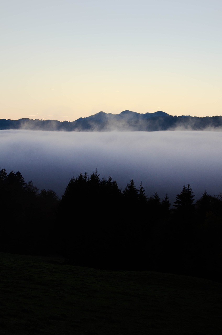 Image - allgäu fog morning trees rest