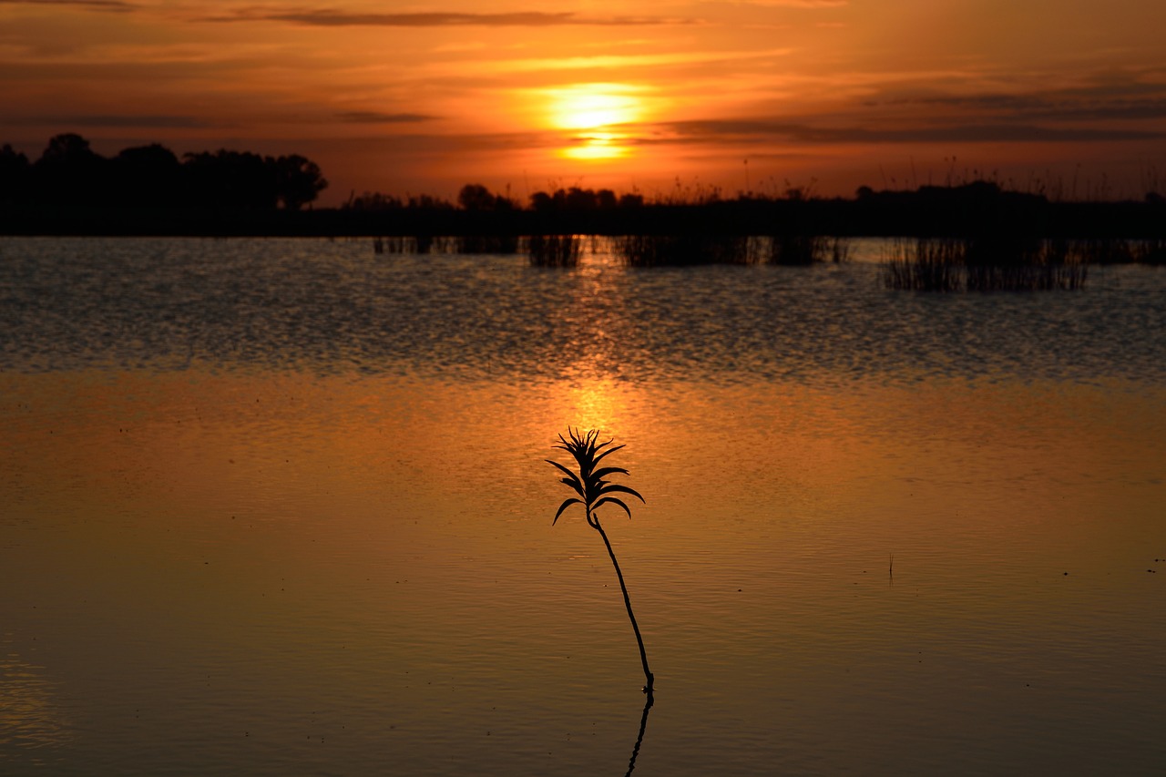 Image - sunset landscape sun