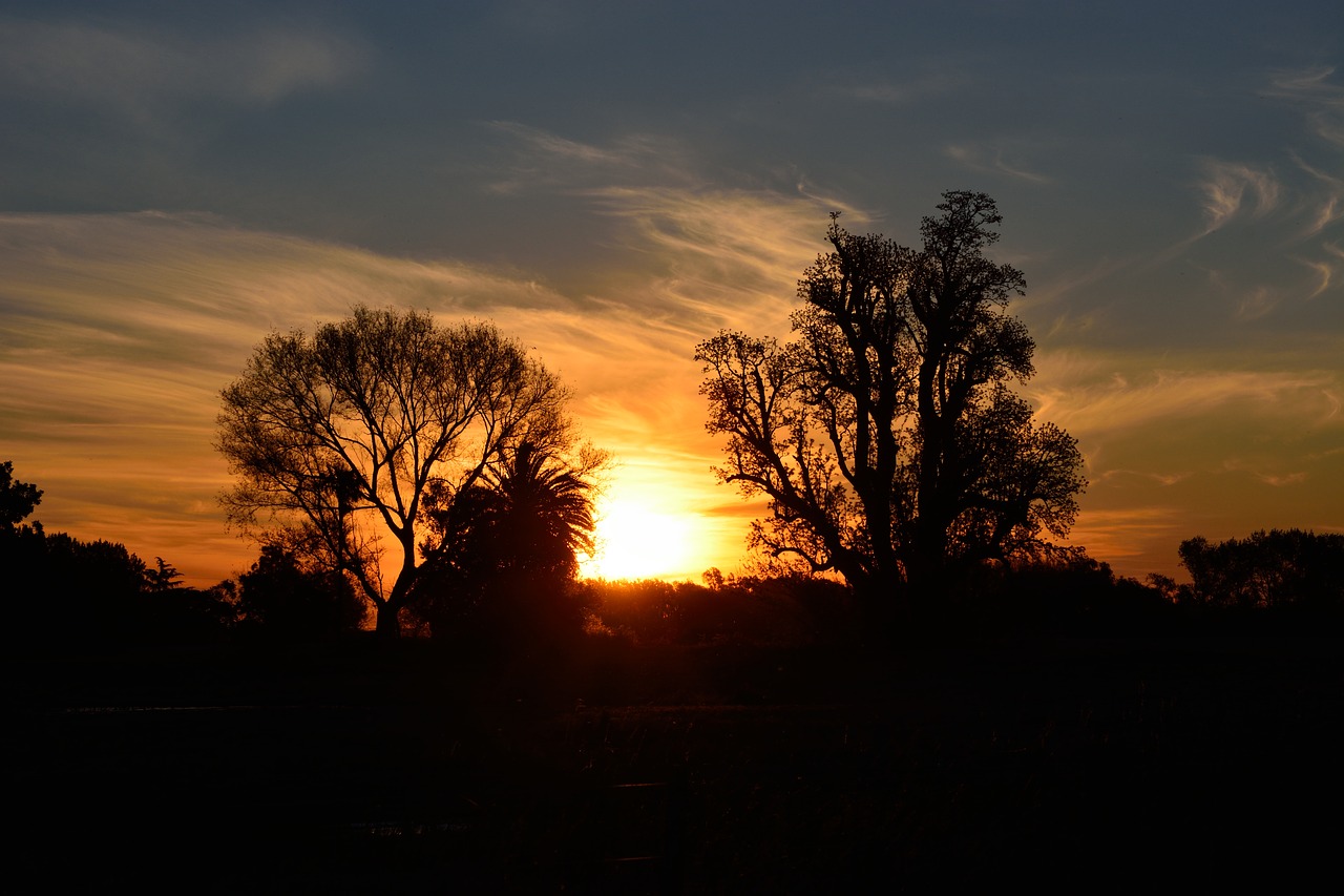 Image - sunset sun landscape