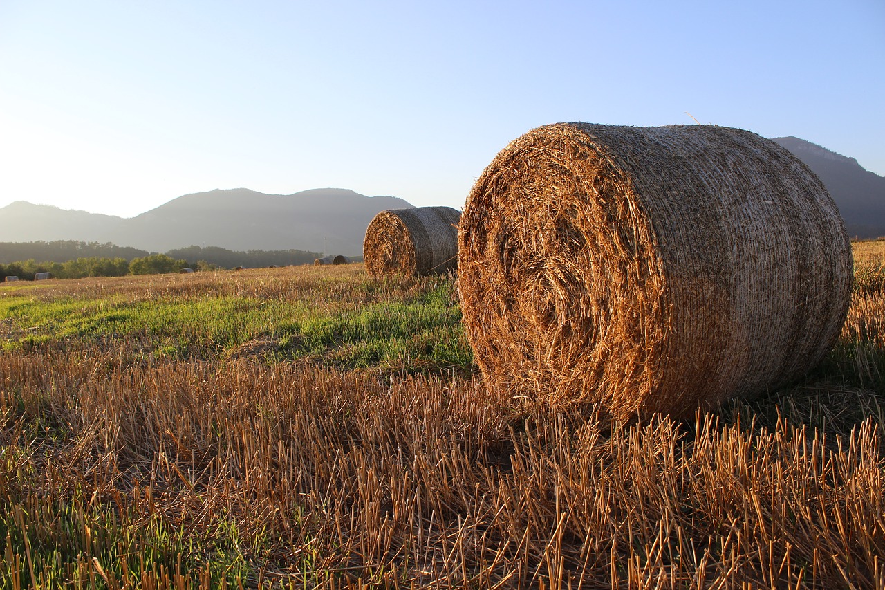 Image - straw ssas straw field agriculture