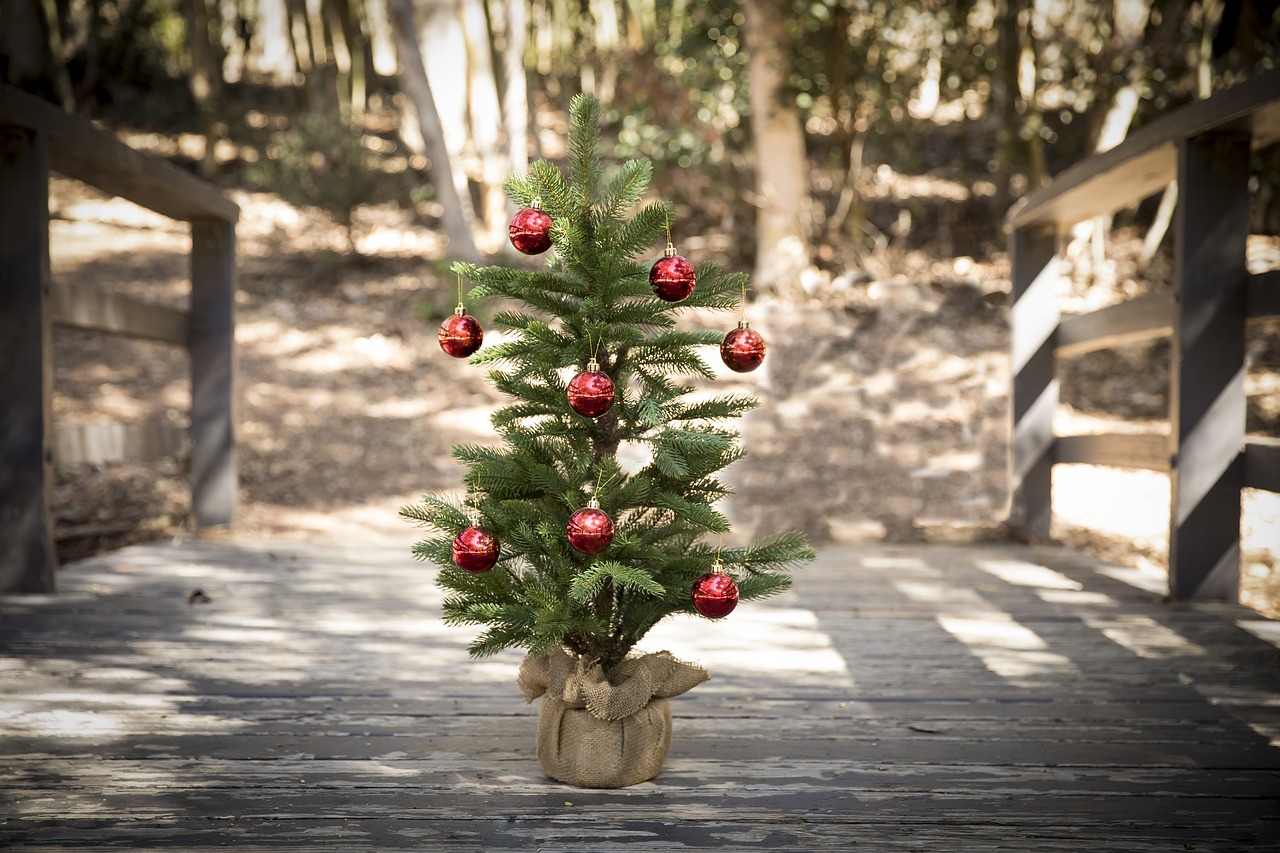 Image - christmas tree forest bridge