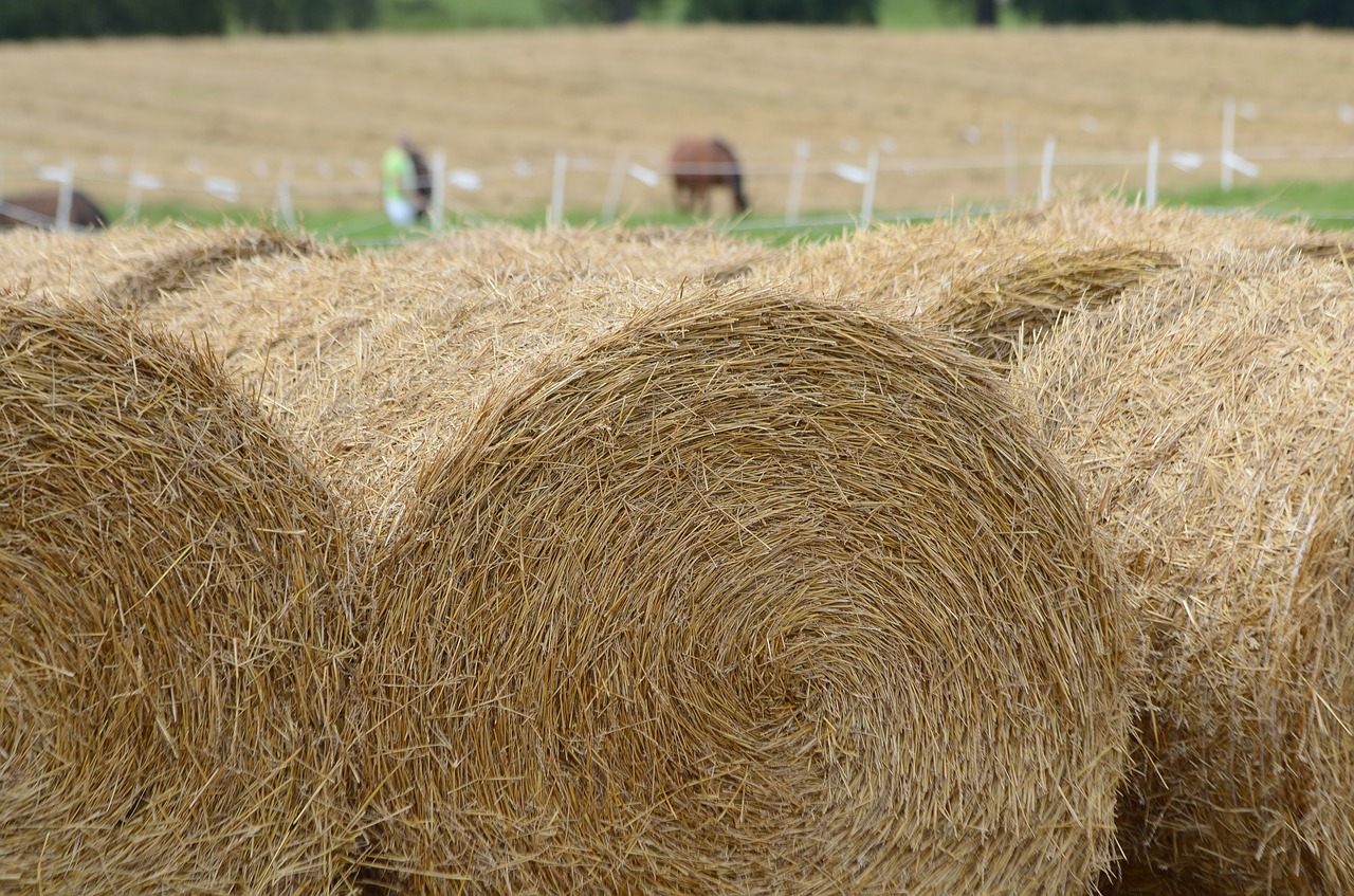 Image - hay grass bales round fields