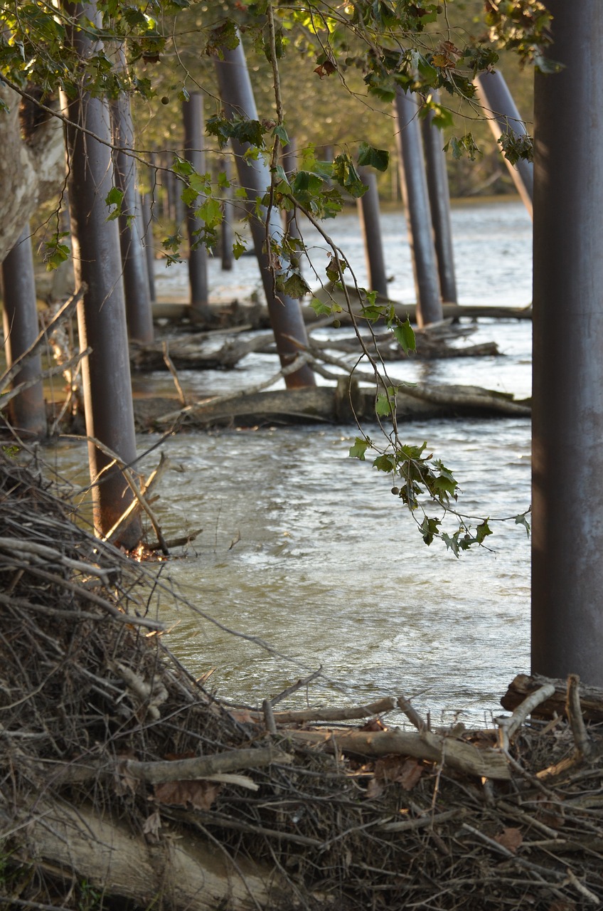 Image - river banks nature forest outdoor