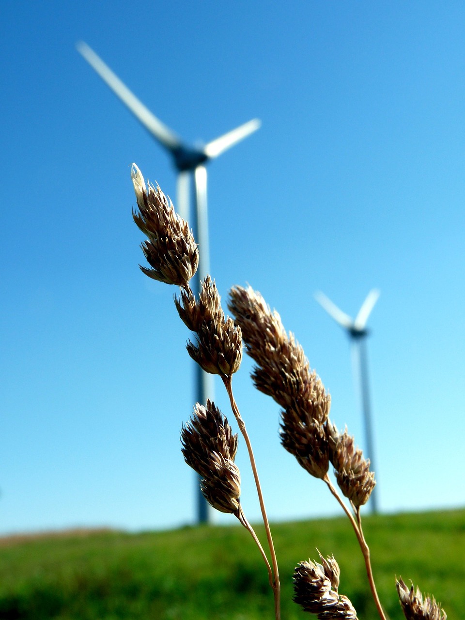 Image - nature green blue windmill