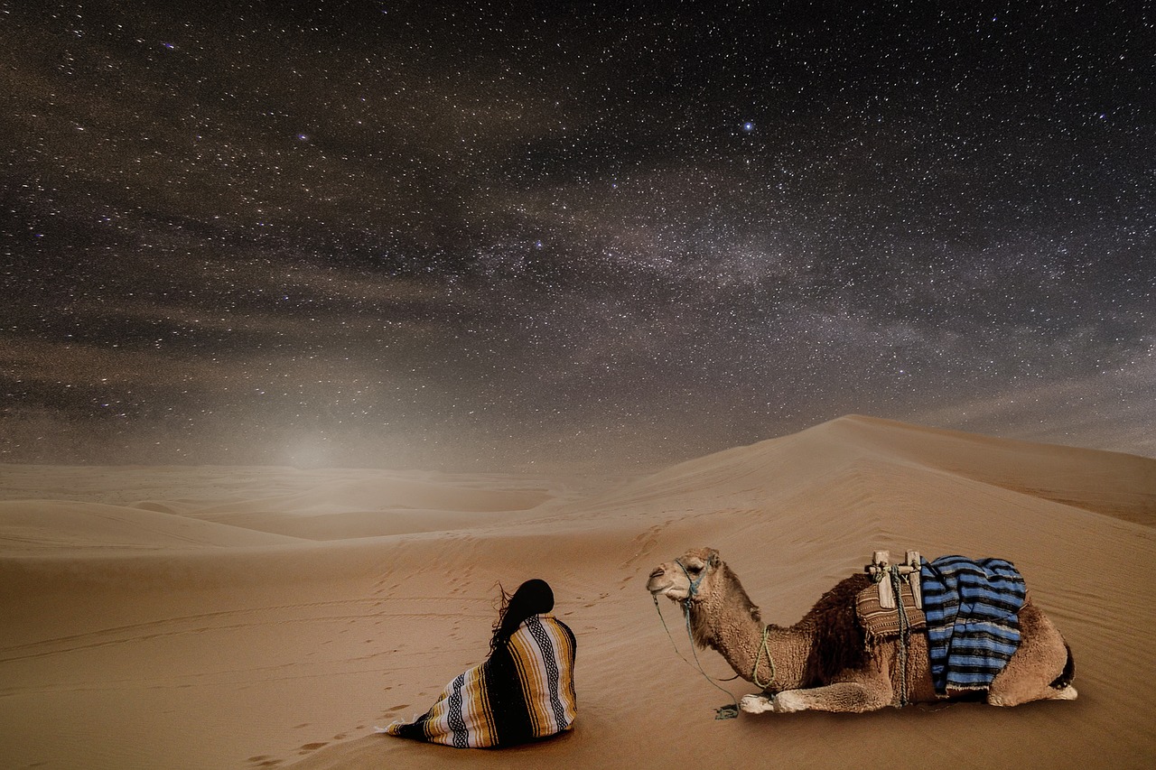 Image - desert night starry sky person