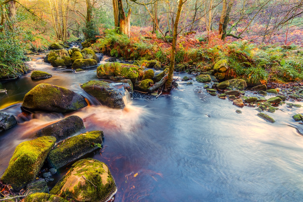 Image - valley of desolation yorkshire