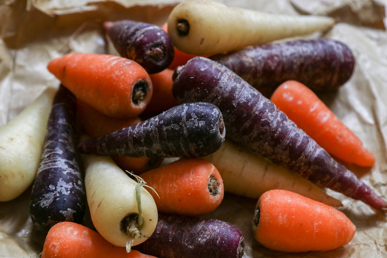 Image - carrot colorful colourful food