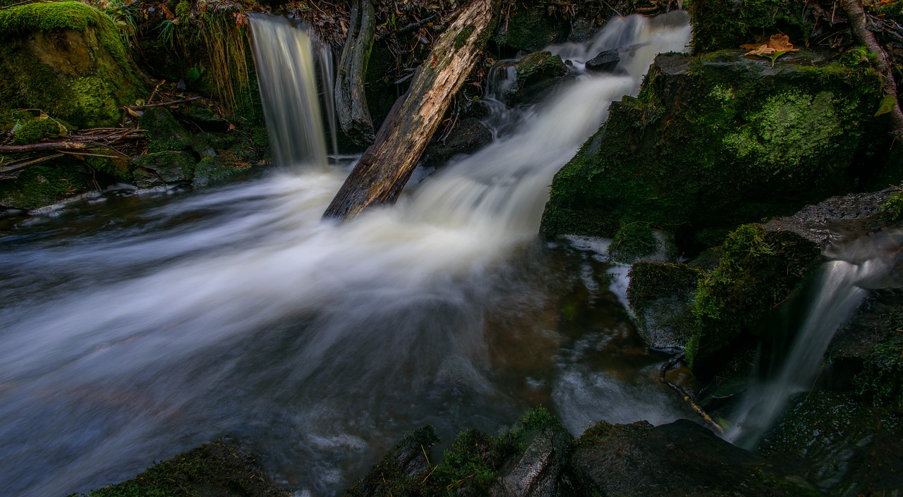 Image - stream river water runny autumn