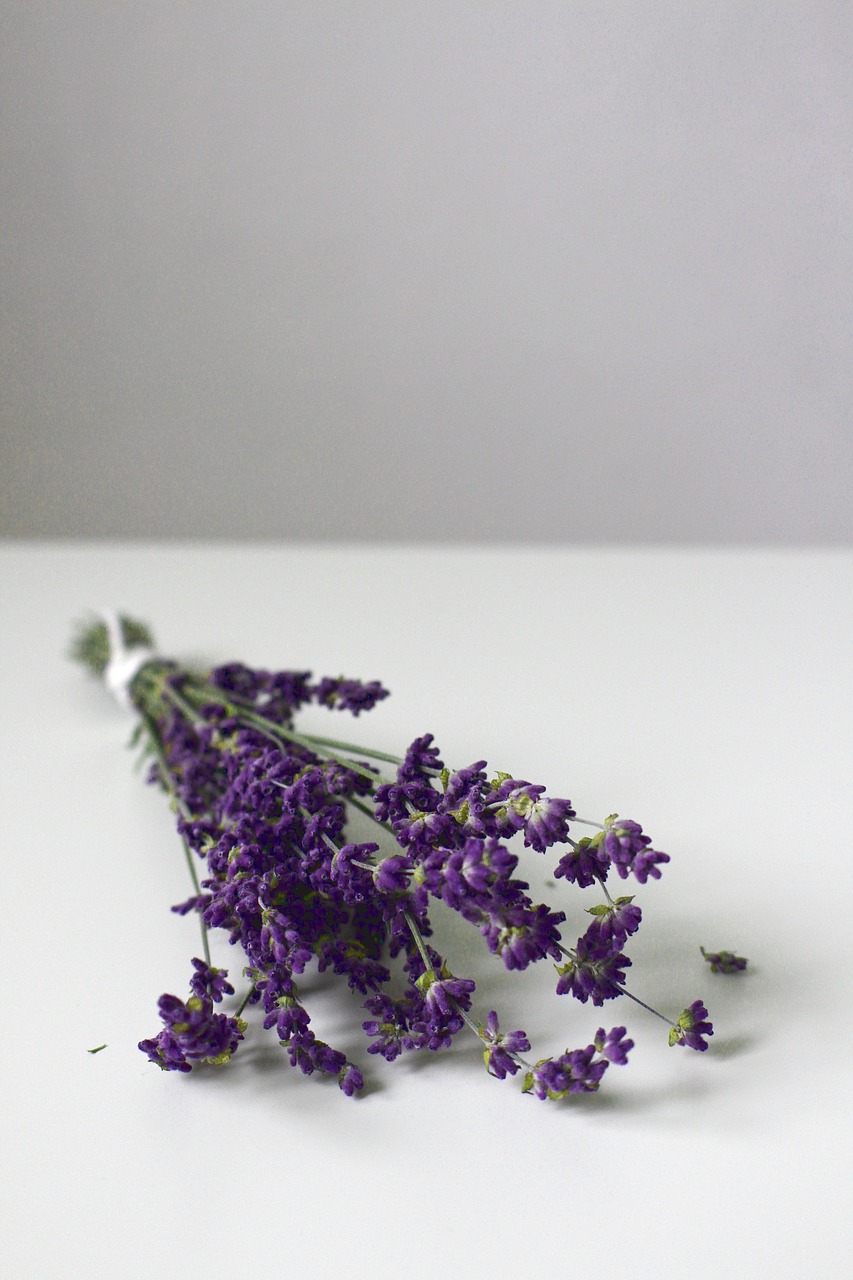 Image - lavender lavender blossom flower