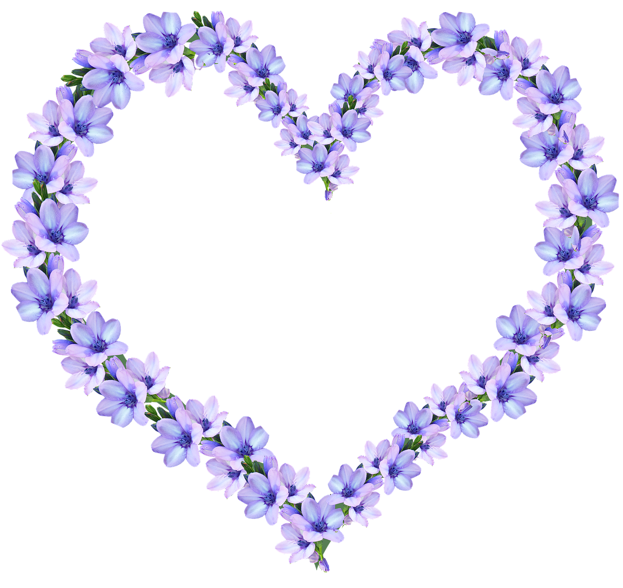 Image - frame purple flowers design