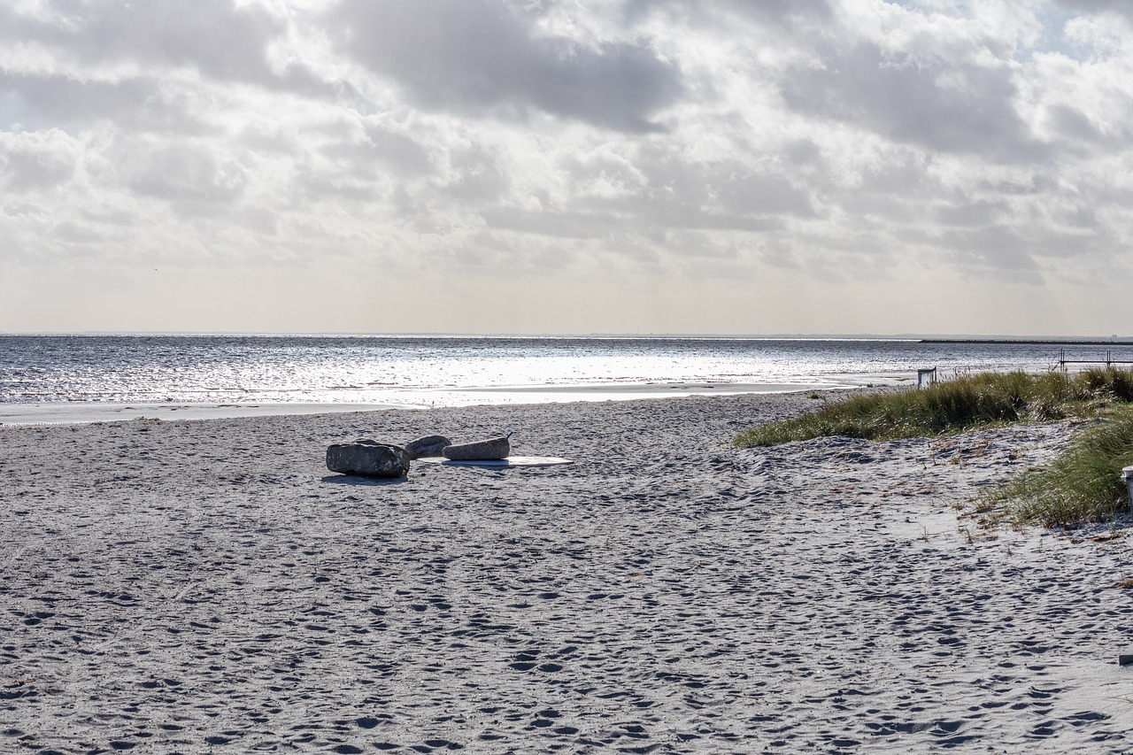 Image - beach hundige autumn