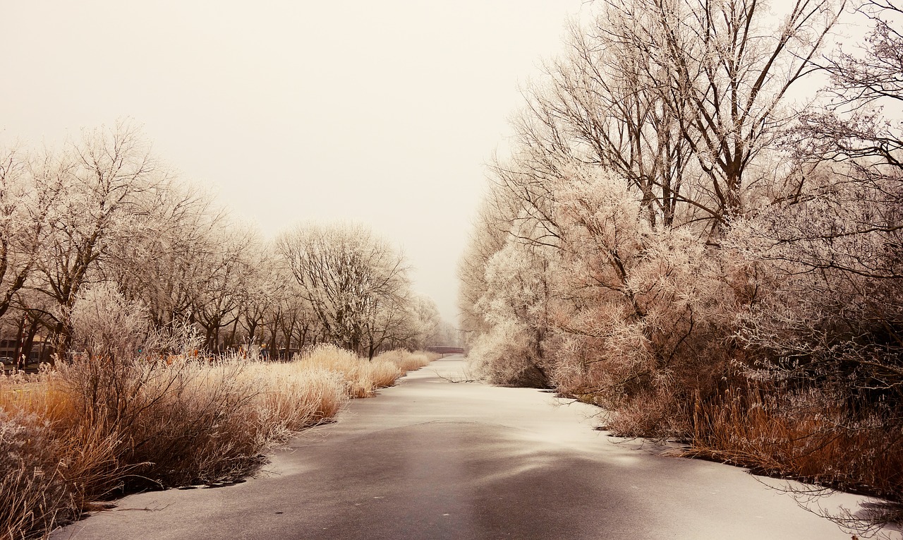 Image - frozen hoarfrost ice winter