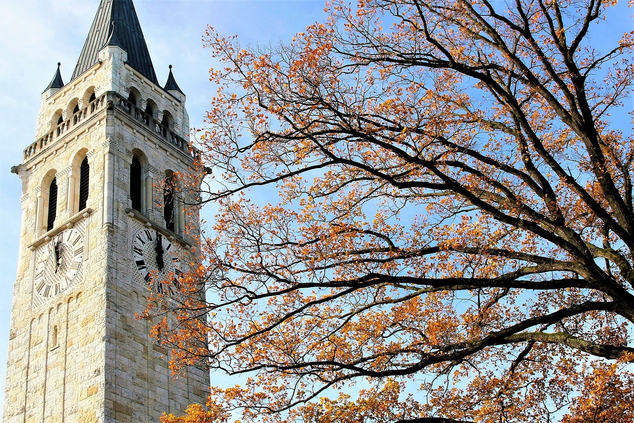 Image - tree sky clock park autumn