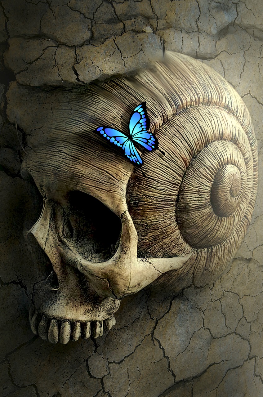 Image - fantasy book cover