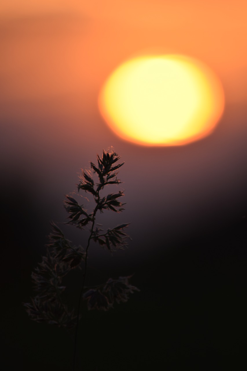 Image - the sun sunset sky clouds west