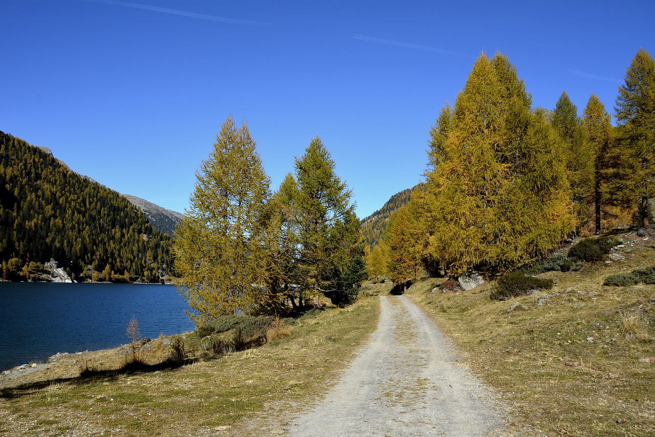 Image - landscape trees zufritt reservoir