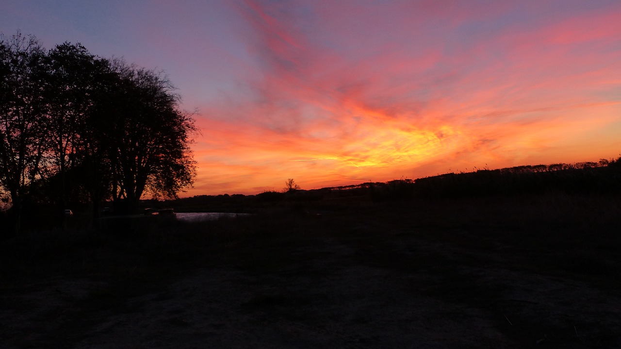 Image - color sun sunset landscape trees