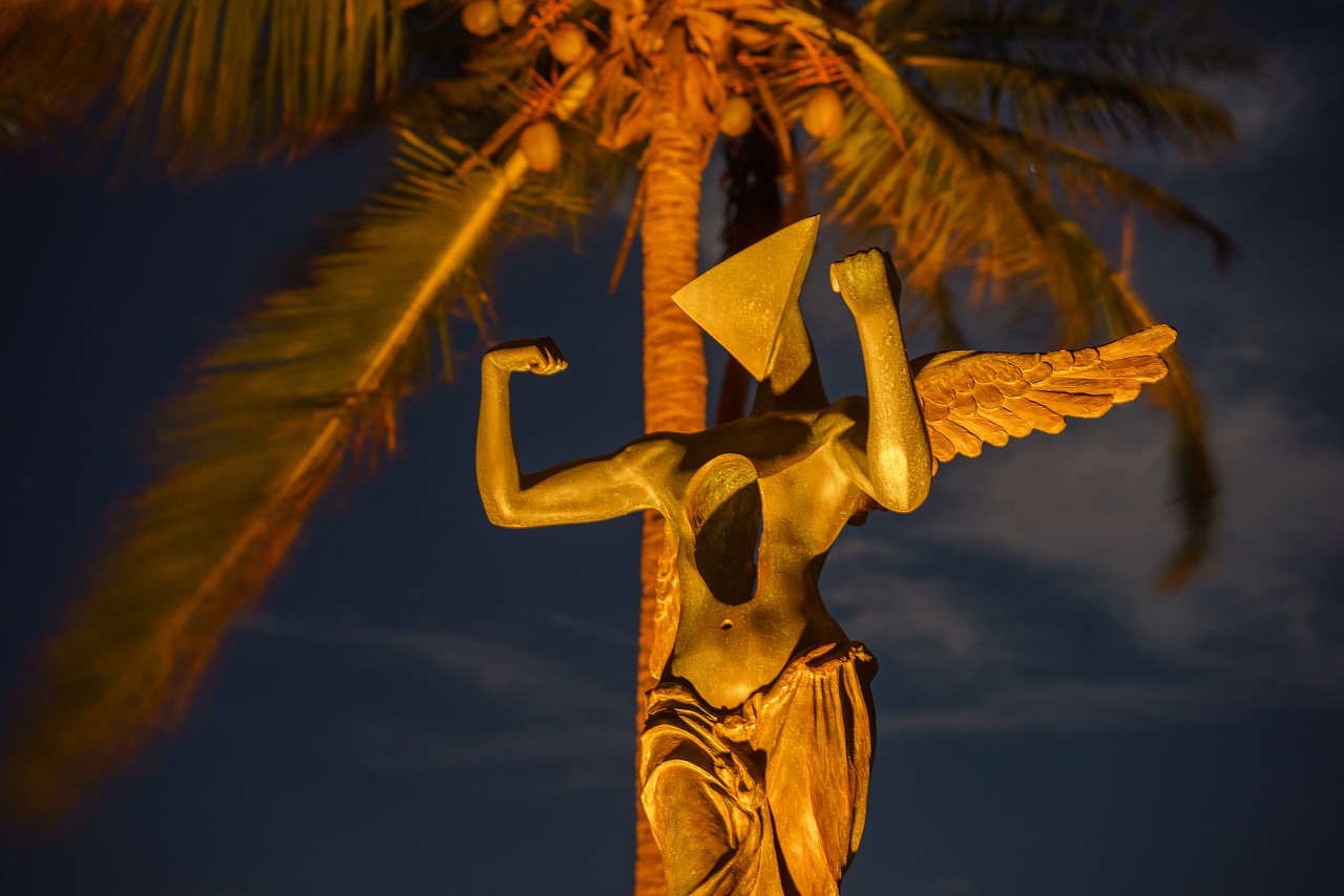 Image - beach sea night sea palm sky