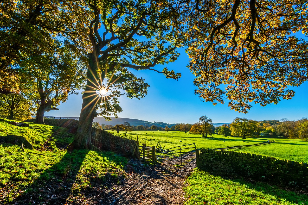 Image - yorkshire autumn sunshine