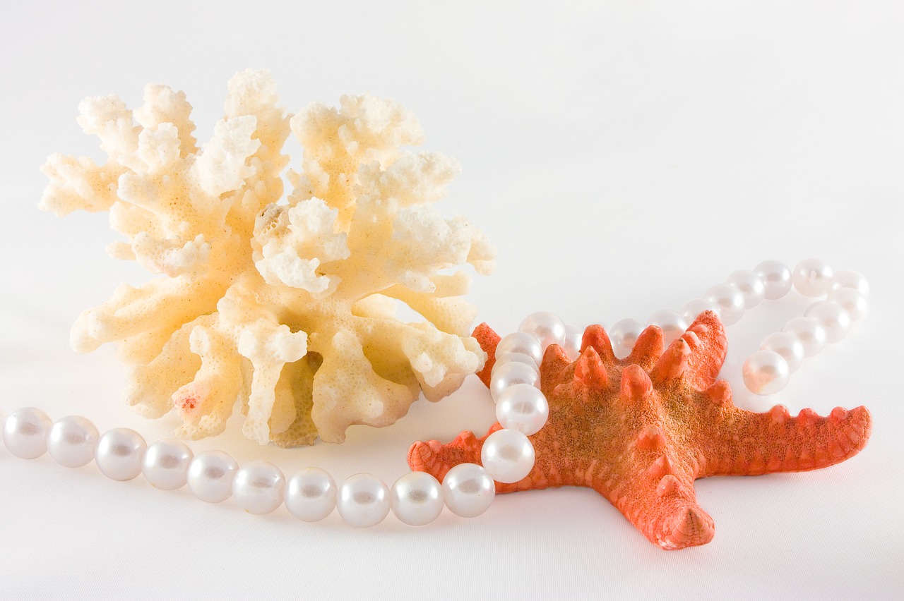 Image - pearl starfish coral still life