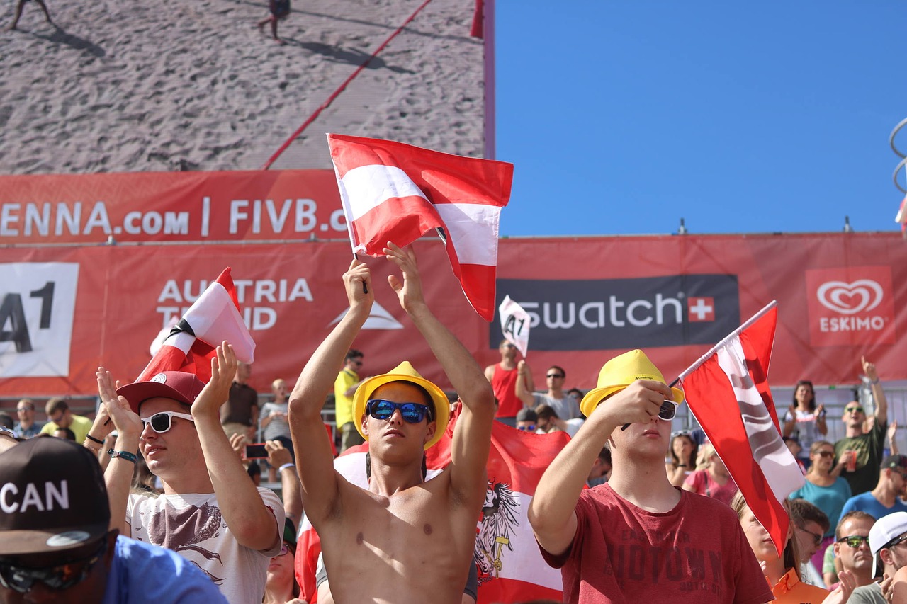 Image - volleyball fans volleyball