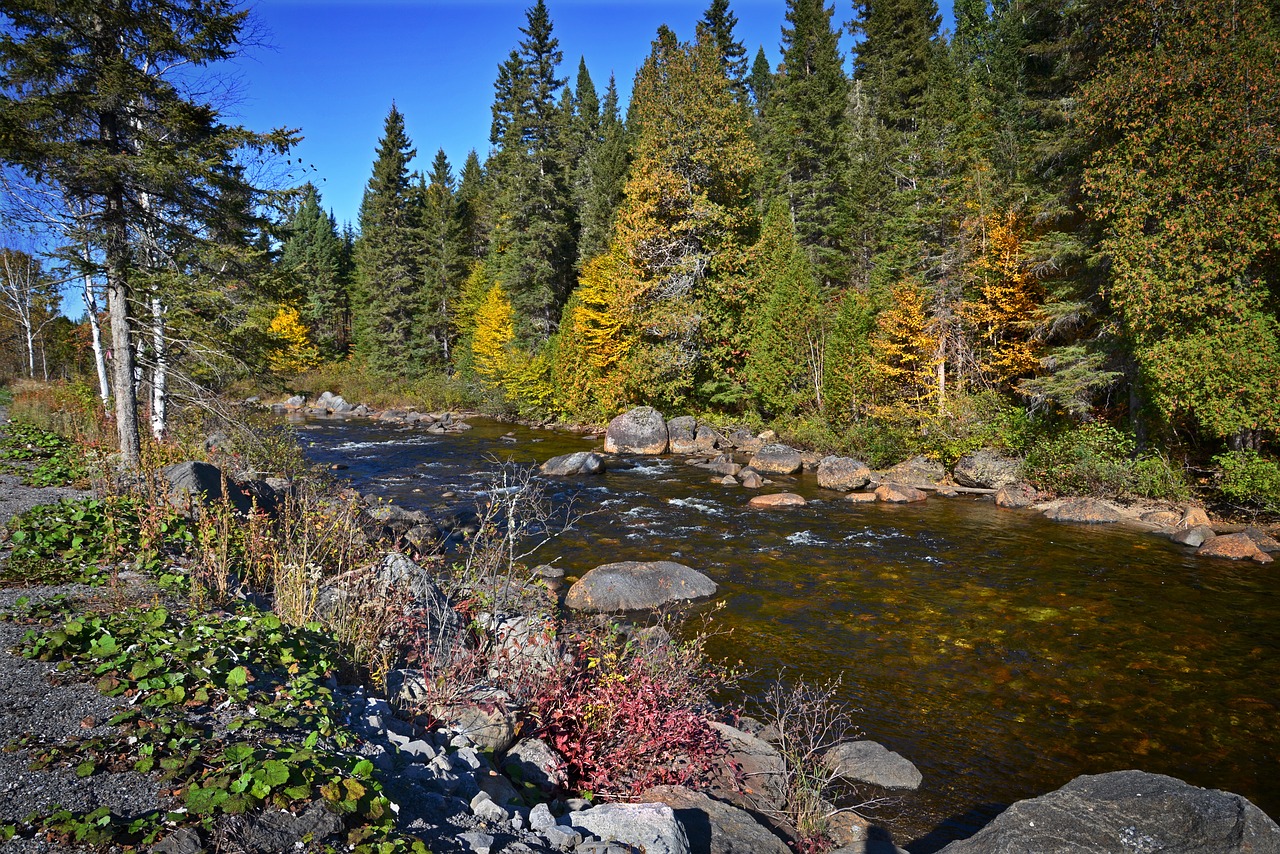 Image - autumn landscape river fall tree