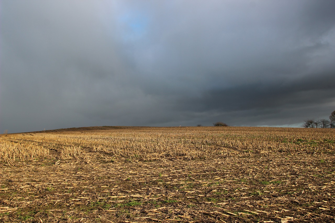 Image - stubble clouds harvested mood