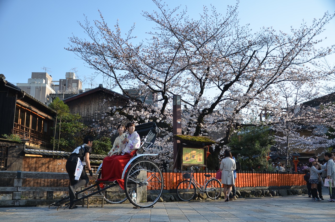 Image - japan kyoto sakura spring