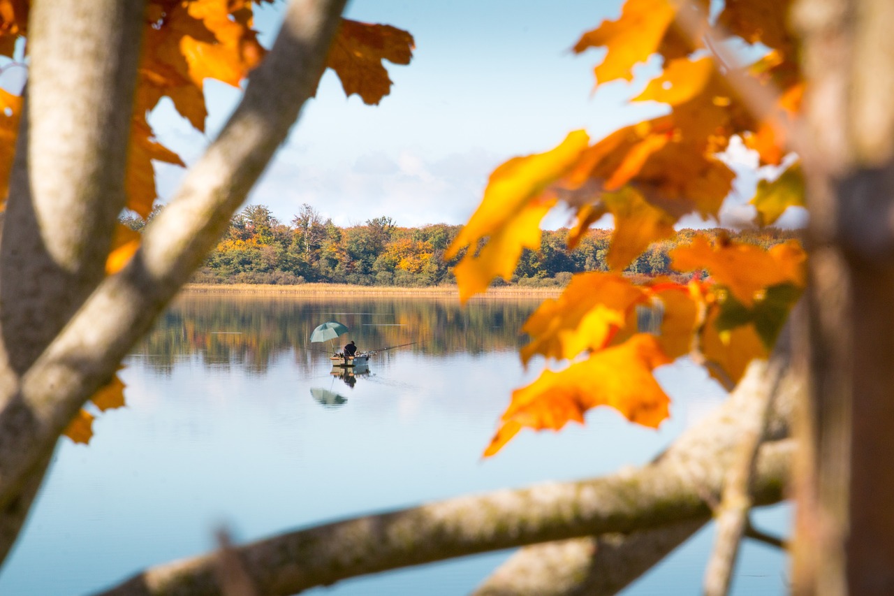 Image - autumn pond water reflections