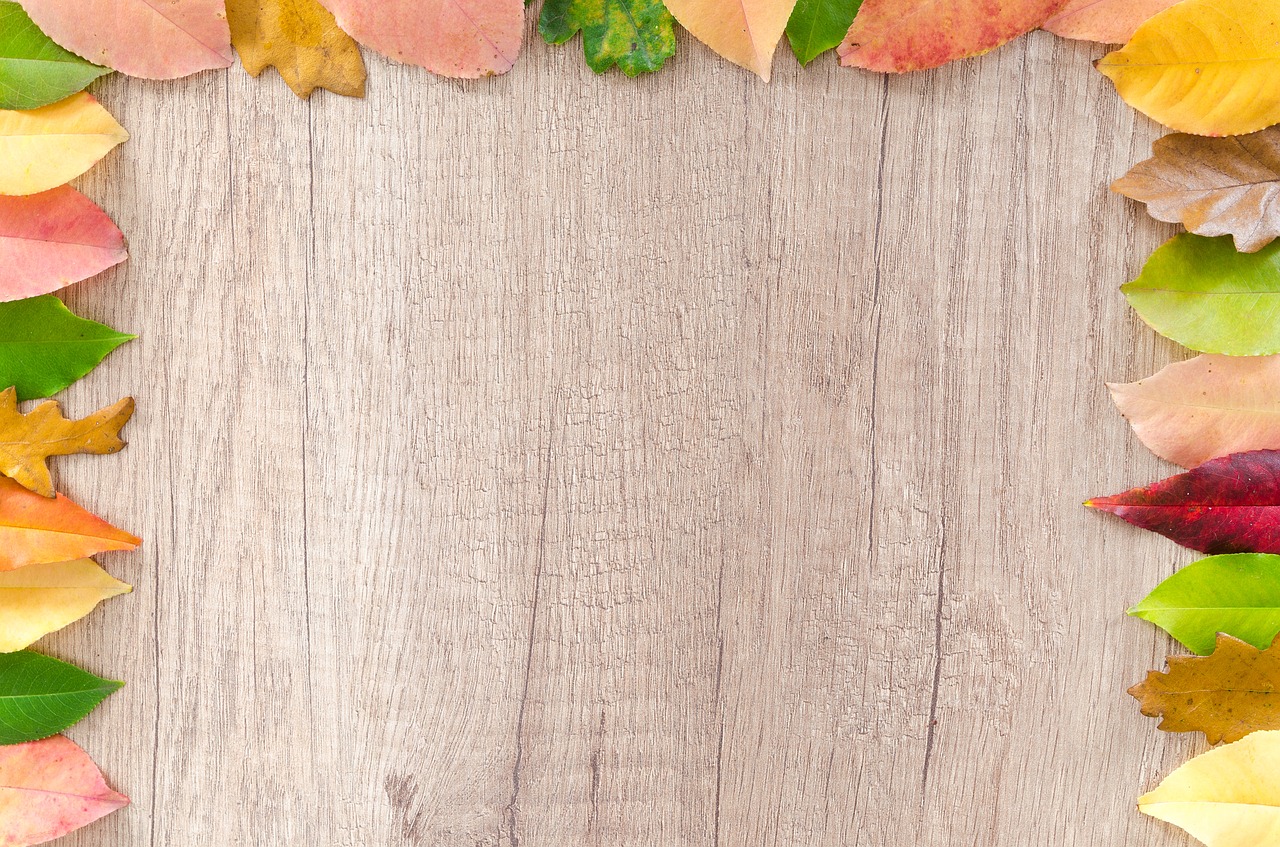 Image - autumn orange nature red yellow