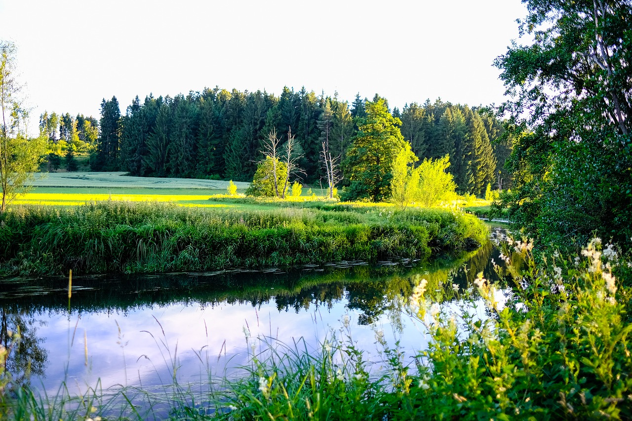 Image - river green landscape meadow